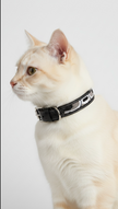 Collier - Onyx