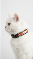 Collier - Mika