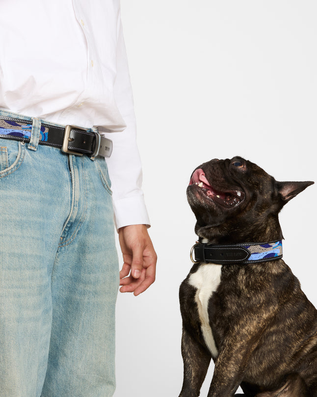 Ceinture - New Dehli